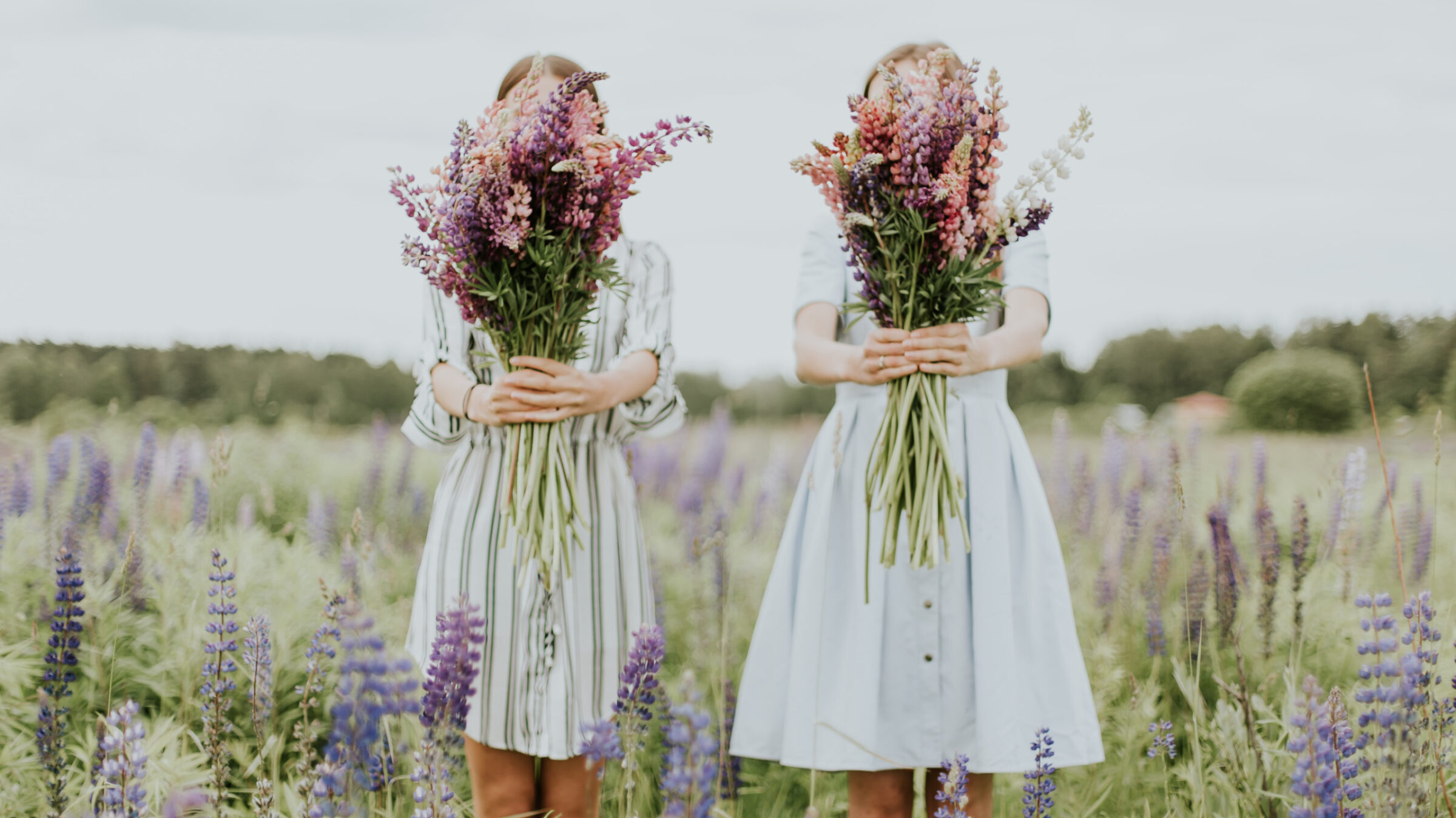 5 motivi per fare una donazione allo SPOG